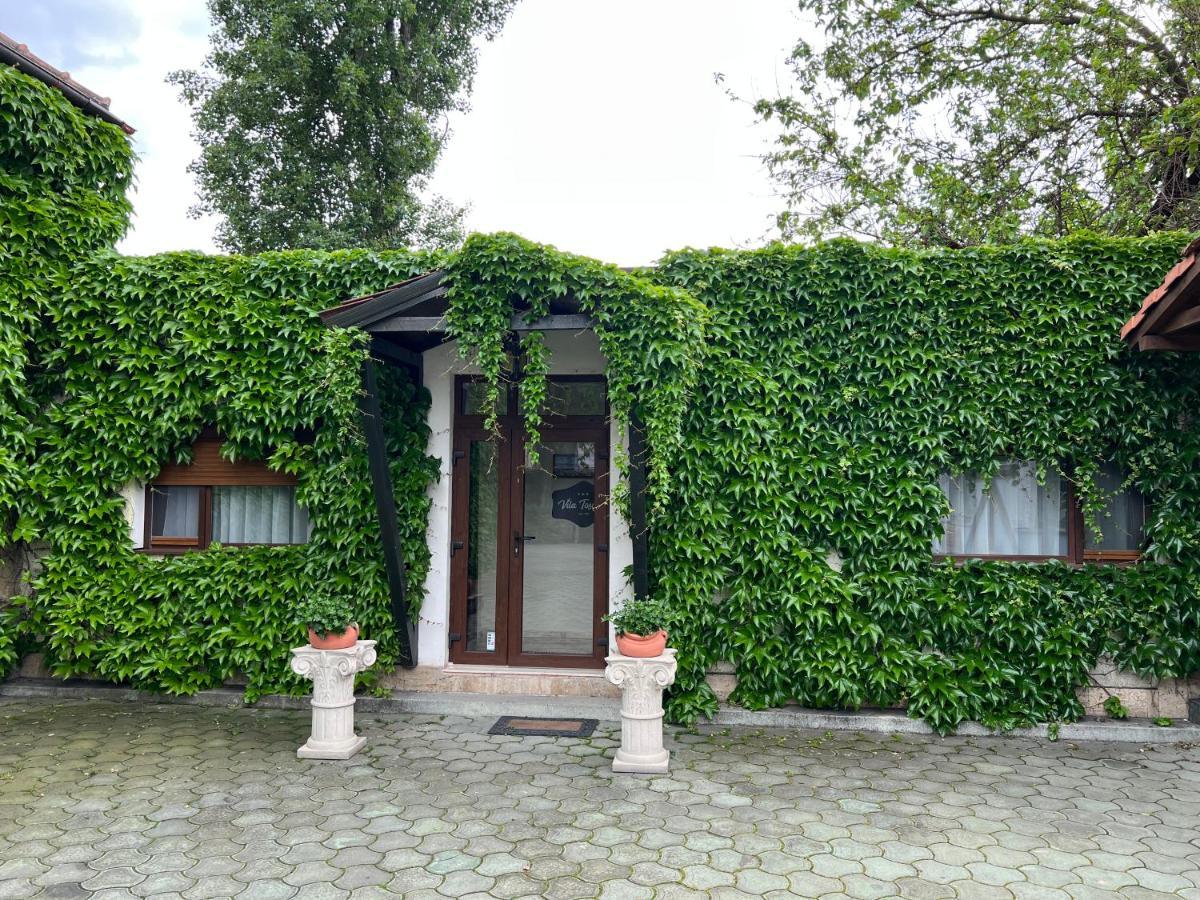Vila Toscana تيميشورا المظهر الخارجي الصورة